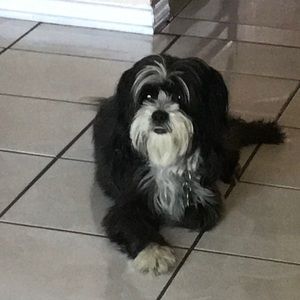 Meet your Posher, Martha